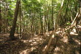 大和 畑城(山添村)の写真