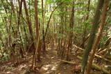 大和 畑城(山添村)の写真