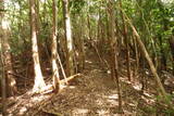大和 畑城(山添村)の写真