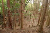 大和 畑城(山添村)の写真