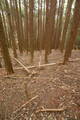 大和 畑城(山添村)の写真