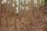 大和 畑城(山添村)の写真
