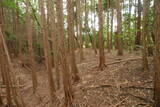 大和 畑城(山添村)の写真