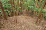大和 畑城(山添村)の写真