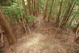 大和 畑城(山添村)の写真