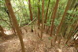 大和 畑城(山添村)の写真