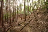 大和 畑城(山添村)の写真
