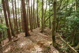 大和 畑城(山添村)の写真