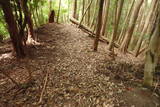 大和 畑城(山添村)の写真
