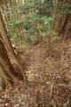 大和 畑城(山添村)の写真