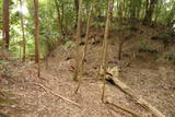 大和 畑城(山添村)の写真