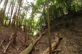 大和 畑城(山添村)の写真