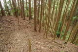 大和 畑城(山添村)の写真