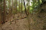 大和 畑城(山添村)の写真