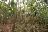 大和 畑城(山添村)の写真
