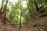 大和 畑城(山添村)の写真