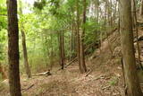 大和 畑城(山添村)の写真