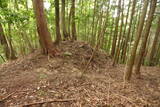 大和 畑城(山添村)の写真