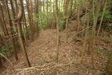 大和 畑城(山添村)の写真