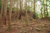 大和 畑城(山添村)の写真