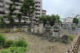 岡田家墓所(大永寺)の写真