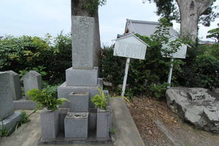 西郷弾正の墓(医王寺)の写真