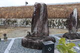 鳥居強右衛門の墓(新昌寺)の写真