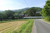 原田種直の墓(龍国禅寺)の写真