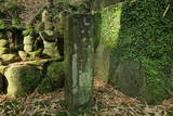 原田種直の墓(龍国禅寺)の写真