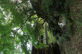 原田種直の墓(龍国禅寺)の写真