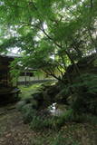 原田種直の墓(龍国禅寺)の写真