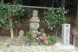少弐景資の墓の写真