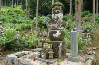 田中忠政供養塔(千光寺)の写真