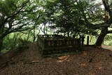 田中忠政供養塔(千光寺)の写真