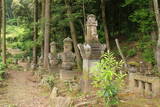 田中忠政供養塔(千光寺)の写真