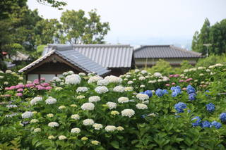 田中忠政供養塔(千光寺)の写真