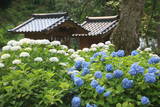 田中忠政供養塔(千光寺)の写真