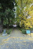 二本松藩丹羽家墓所(大隣寺)の写真