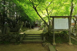 明知遠山家墓所(龍護寺)の写真