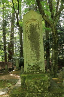 明知遠山家墓所(龍護寺)の写真