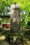 明知遠山家墓所(龍護寺)の写真