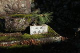 千村家墓所(東禅寺)と春秋園の写真