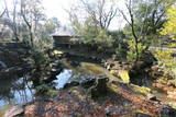 千村家墓所(東禅寺)と春秋園の写真