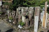 平岡頼資の墓(専養寺)の写真