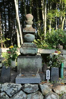 国枝為助一族の墓(龍徳寺)の写真