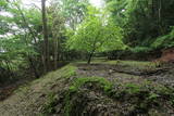 福原氏墓所(楞厳寺跡)の写真