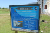 禄剛埼灯台の写真