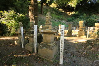 伴姓頴娃氏墓所(大通寺跡)の写真