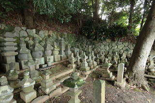 土肥一族の墓(城願寺)写真