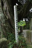 土肥一族の墓(城願寺)の写真